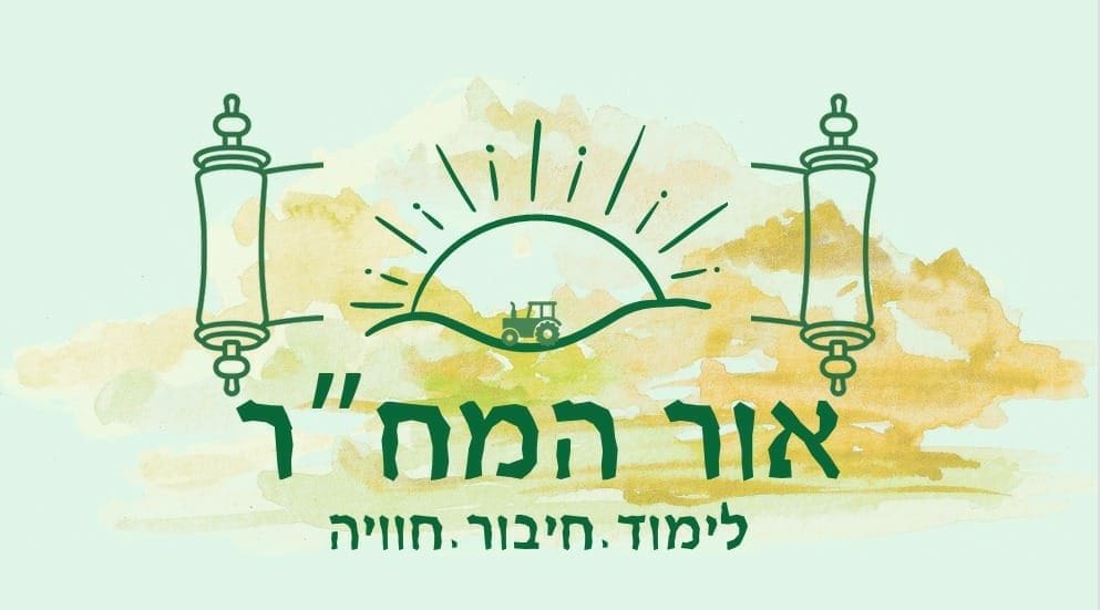 WhatsApp Image 2025-12-28 at 22.15